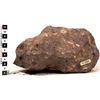 Image 2 : Meteorite, FeNi - 288 pounds  [149145]