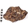Image 1 : Meteorite, FeNi - 86 pounds  [149143]