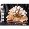 Image 1 : Calcite Viewing Stone on Wood Base  [149404]