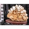 Image 2 : Calcite Viewing Stone on Wood Base  [149404]