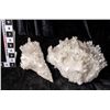 Image 1 : Clear Quartz Clusters (2)  [149422]