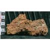 Image 1 : Nantan Iron Nickel Meteorite  [149138]