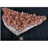 Image 2 : Pink Calcite Plate Large  [149331]