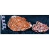 Image 1 : Pink Calcite Plates (2)  [149343]