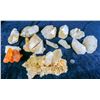 Image 1 : Quartz Specimens (11)  [149340]