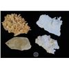 Image 1 : Quartz Specimens (6)  [150950]