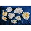 Image 1 : Quartz Specimens (8)  [149337]