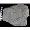 Image 1 : Crinoid Fossil Plate  [150952]
