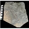 Image 1 : Crinoid Fossil Plate  [150900]