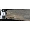 Image 2 : Crinoid Fossil Plate  [150900]
