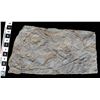 Image 1 : Crinoid Fossil Plate  [150953]