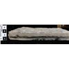 Image 2 : Crinoid Fossil Plate  [150953]