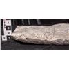 Image 2 : Crinoid Fossil Plate  [149392]
