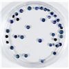 Image 1 : Blue Sapphires  [140172]