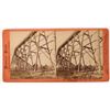 Image 1 : Smartsville Flume, Yuba County- a Houseworth Stereoview  [123694]