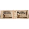 Image 1 : Arcola Oil Co. Stock Book, issued & cancelled  [141133]