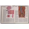 Image 3 : Medical - Ciba Collection of Medical Illustrations  (8 volumes)  [150417]