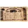 Image 1 : Pine Plains Bank Stock - RARE!  [142839]