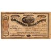 Image 1 : Crinoline Gold & Silver Mining Company Stock Certificate  [107710]