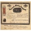 Image 1 : American Mining Company Stock  [128825]