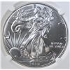 Image 2 : 2020 (S) SILVER EAGLE NGC MS 70 ER EP