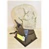 Image 1 : GLASS-LIGHTENING AND COLOR DISPLAY ACTION SKULL