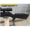 Image 6 : GAMO Varmit 17 Cal Pellet Serial # 290549 Velocity 1250 with Scope & Box - MUST HAVE PROOF OF PAL TO