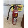 Image 3 : 2 Fire Extinguishers