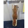 Image 1 : Mounted Squirrel