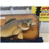 Image 2 : Pickeral Fish Mount 27" Long