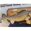 Image 3 : Pickeral Fish Mount 27" Long