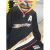 Image 2 : Anahiem Ducks Selanne Jersey Sz S & Boston Sweater Sz M