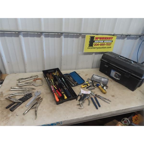Vice Grips, Screwdrivers, Pliers, Allen Wrenches Tool Box