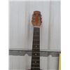 Image 3 : Galiano Accoustic Guitar