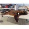Image 1 : Tanned Brown Bear Rug - Spread Out 48" x 60"
