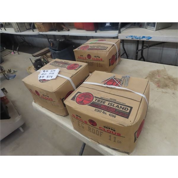 3 Cases Full of 3" Roofing Nails