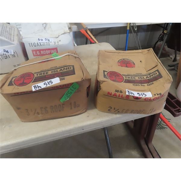 2 Cases Full Roofing Nails; 1) 3.5" 1) 2.5"