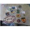 Image 1 : Patches ; Wildlife & Car Club