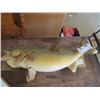 Image 1 : Walleye Mount