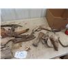 Image 2 : Military Ammo Box & Animal Bones