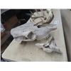 Image 2 : Box of Deer Antlers, Cow Skull & Large Horn