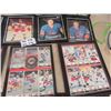 Image 2 : 13 WPG Jets Photo - most Autographed; Bobby Hull, Dale Hawerchuk