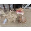 Image 2 : Seashell / Sea Side Decor Items