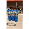 Image 2 : 3 PROPANE CANNISTERS, TORCH AND LIGHTER