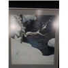 Image 2 : Framed Print by Robert Bateman - 1980