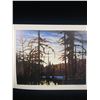 Image 2 : 23 x 19" Lawren Harris Beaver Swamp Algoma Numbered Print