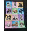 Image 3 : Lot of 5 Large Baby Animal Posters, Dogs, Cats, Etc.