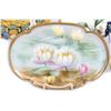 Image 3 : A Collection of English and Continental Cabinet Plates