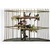 Image 6 : Singing Bird Automata, Music Box and Clock