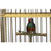 Image 3 : Small Continental Bird in Cage Automaton